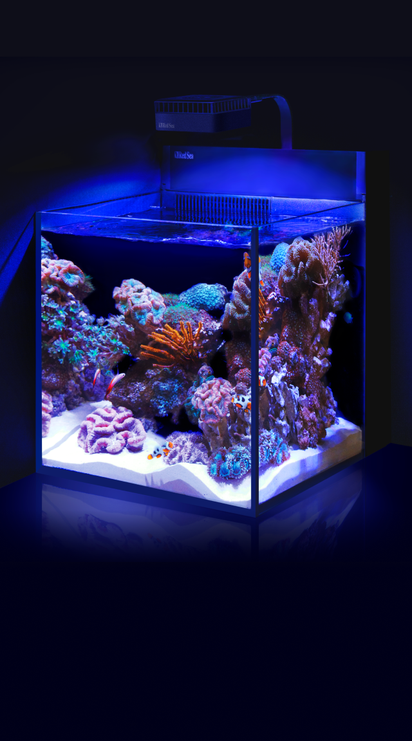 RedSea max Nano レッドシー 水槽